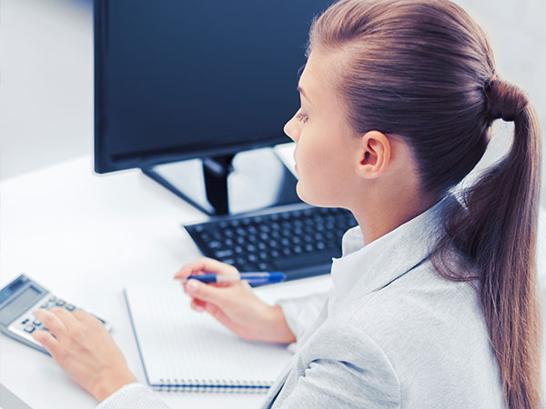 BizPro RTL Elementor 19