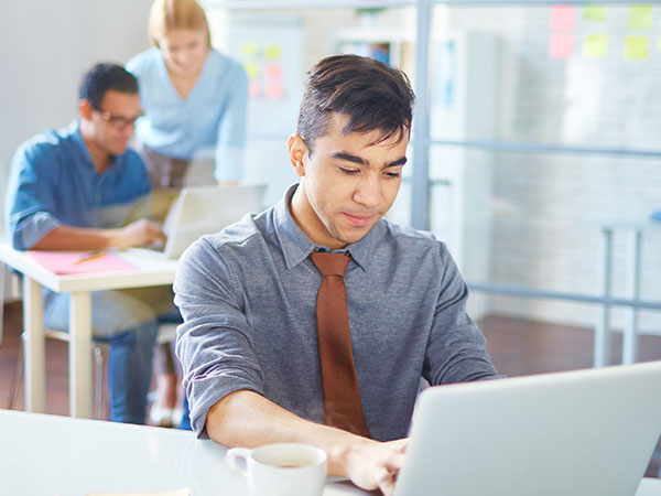 BizPro RTL Elementor 52