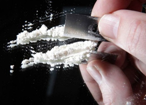 The Law 40 The Law 40